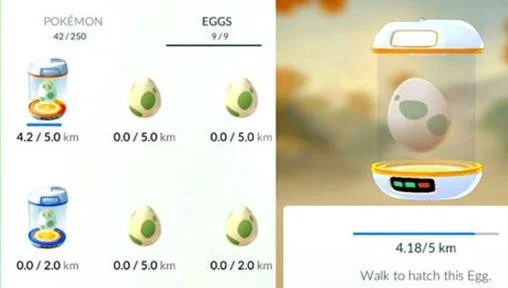 pokemon egg