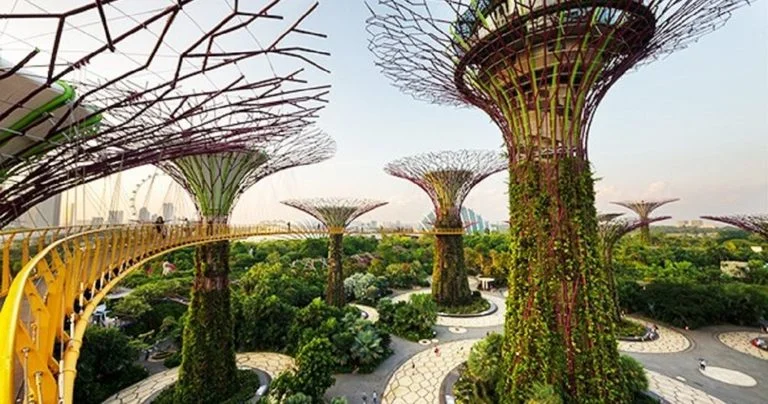 ilmu lingkungan di singapura yang patut dicontoh