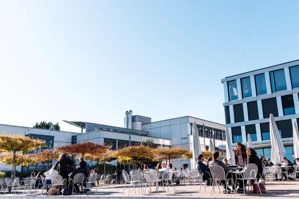 universitas terbaik pariwisata di swiss 