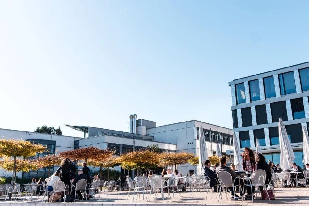 universitas terbaik pariwisata di swiss 