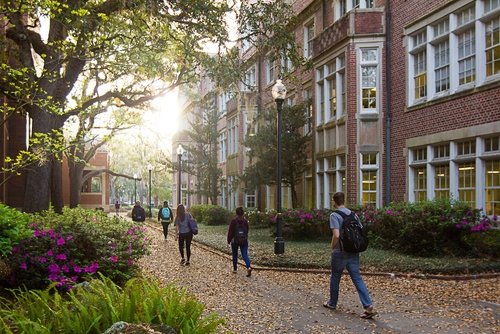 University of Florida