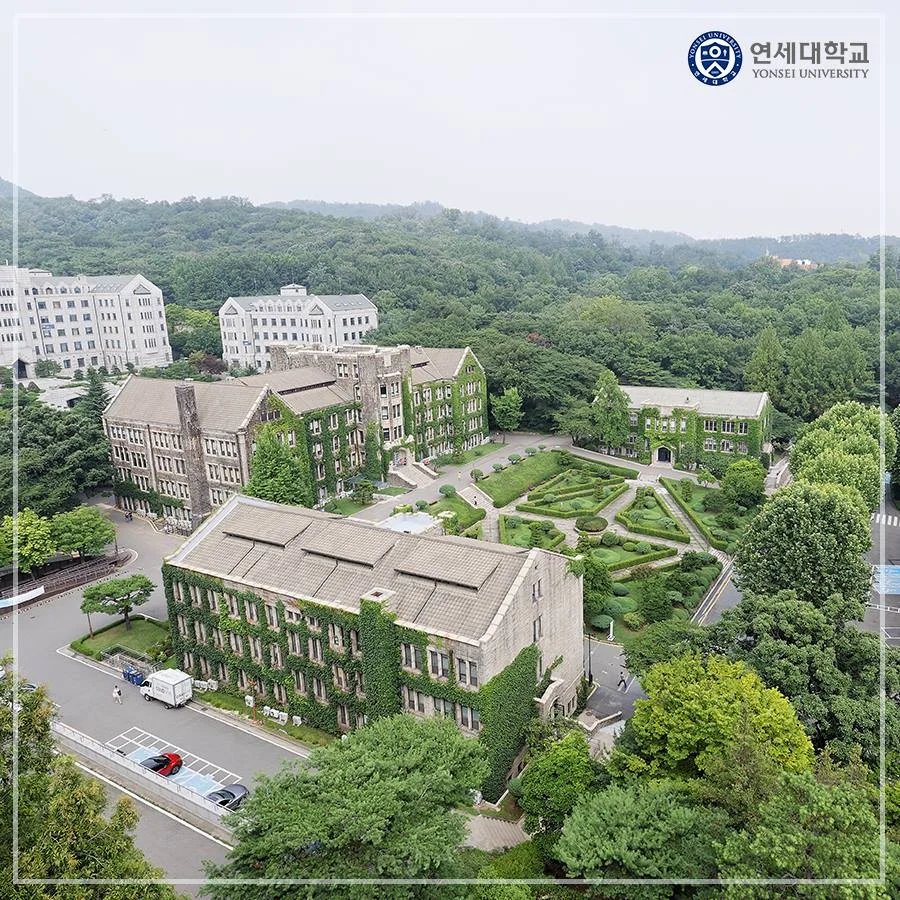 yonsei university